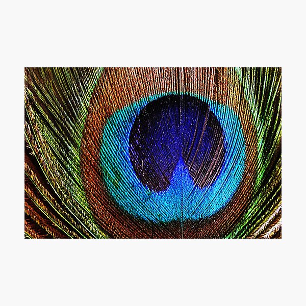 Best Image for Prints, Cards, Poster, Calender Photographic Print