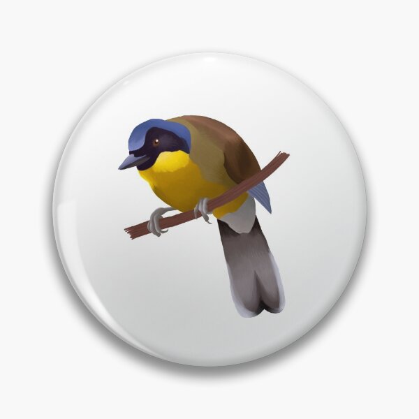 Item preview, Blue crowned laughingthrush designed and sold by ArtyZookeeper.