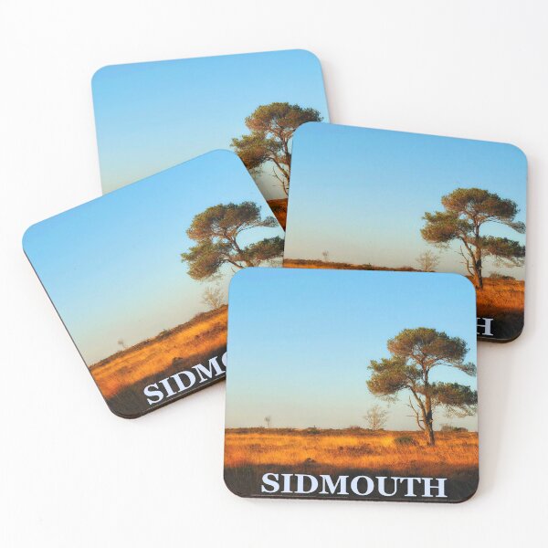 Item preview, sidmouth, mutter's moor, devon designed and sold by solidair.