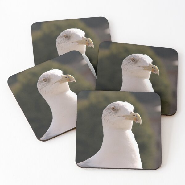 Item preview, gull designed and sold by Babbler01.