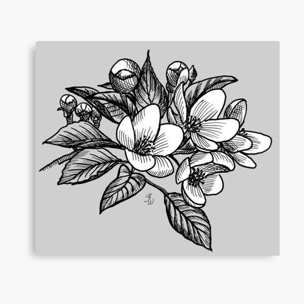 Blumen Design Kirschblüten – Tusche Zeichnung Leinwanddruck