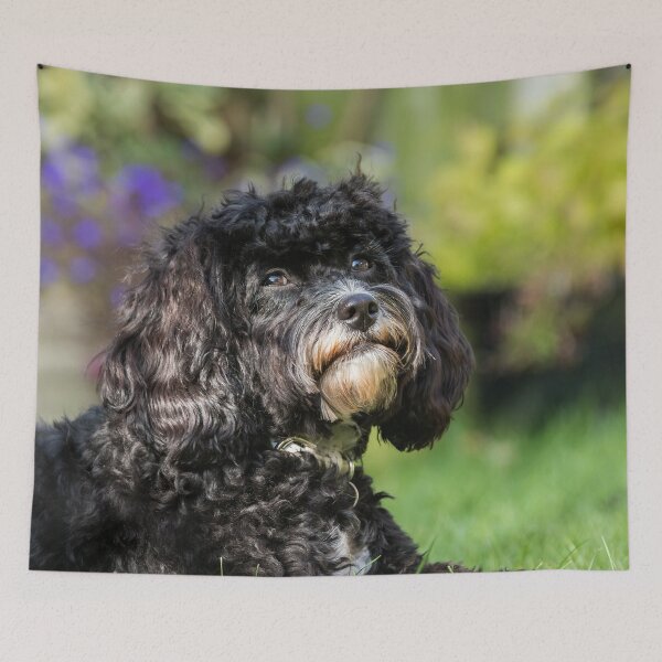 Item preview, Dreaming of Puppy Treats designed and sold by Jane Stanley Photography.