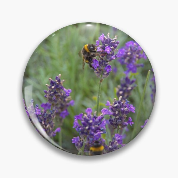 Item preview, Bumblebees at work designed and sold by Babbler01.