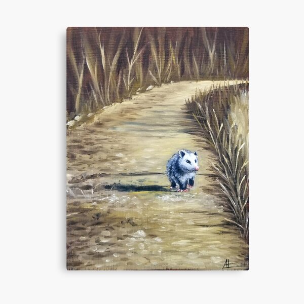 Tiny Lonely Possum Canvas Print