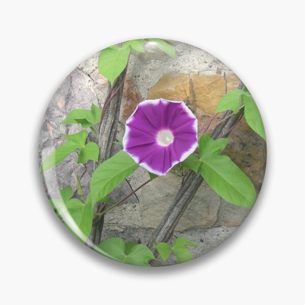 Item preview, Morning Glory designed and sold by Kathleen Brant.