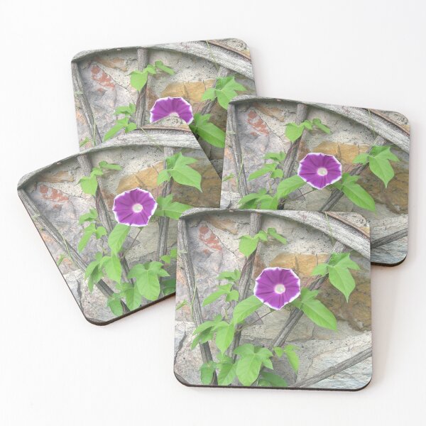 Item preview, Morning Glory designed and sold by Kathleen Brant.