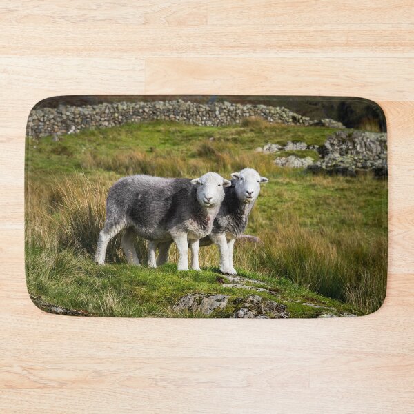 Item preview, Herdwick Sheep Landscape designed and sold by Jane Stanley Photography.