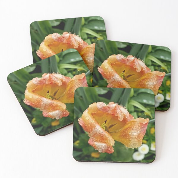 Item preview, Beautiful flower in the rain designed and sold by vibeno1.