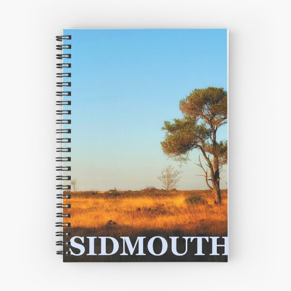 Item preview, sidmouth, mutter's moor, devon designed and sold by solidair.