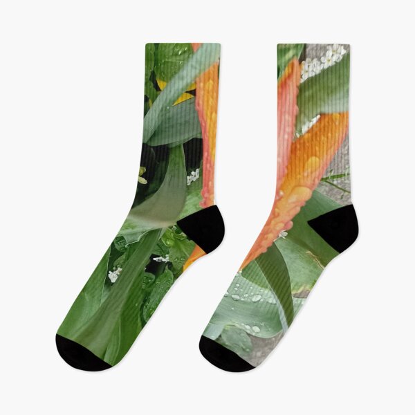 Item preview, Tulip m rain designed and sold by vibeno1.
