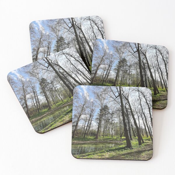 Item preview, Nature photography forest designed and sold by Aline22.