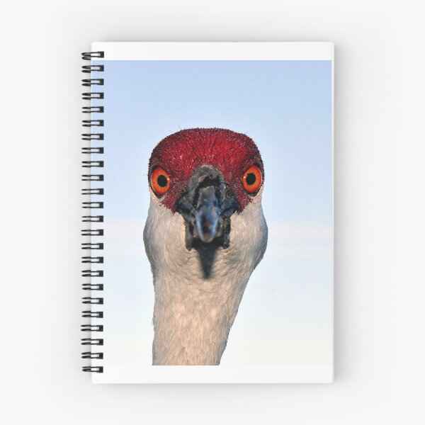 Item preview, Head shot designed and sold by David Lee Thompson.
