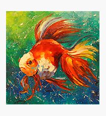 Goldfish Photographic Print