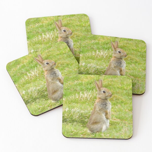 Item preview, An Adorable Little Rabbit designed and sold by Karen Thomson.