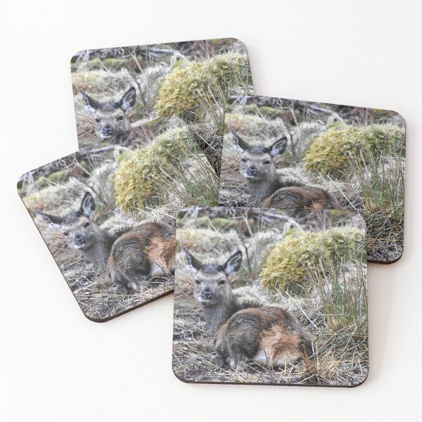 Item preview, Young Deer designed and sold by RONALD MACKENZIE.