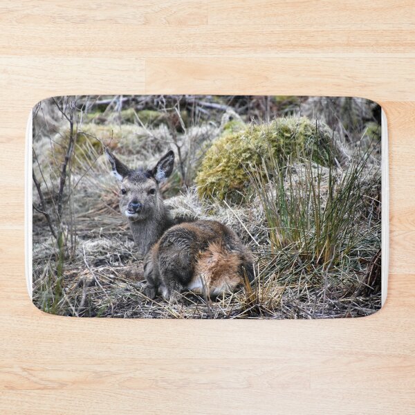 Item preview, Young Deer designed and sold by RONALD MACKENZIE.