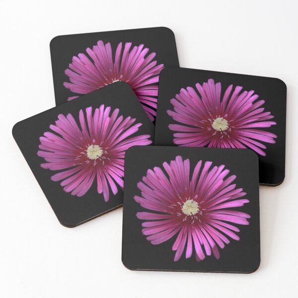 Item preview, Ice Plant on Black designed and sold by StampCity.