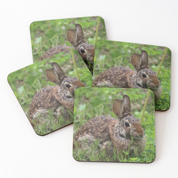 Item preview, Springtime Cottontail designed and sold by LisaNaturePhoto.