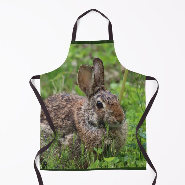 Item preview, Springtime Cottontail designed and sold by LisaNaturePhoto.