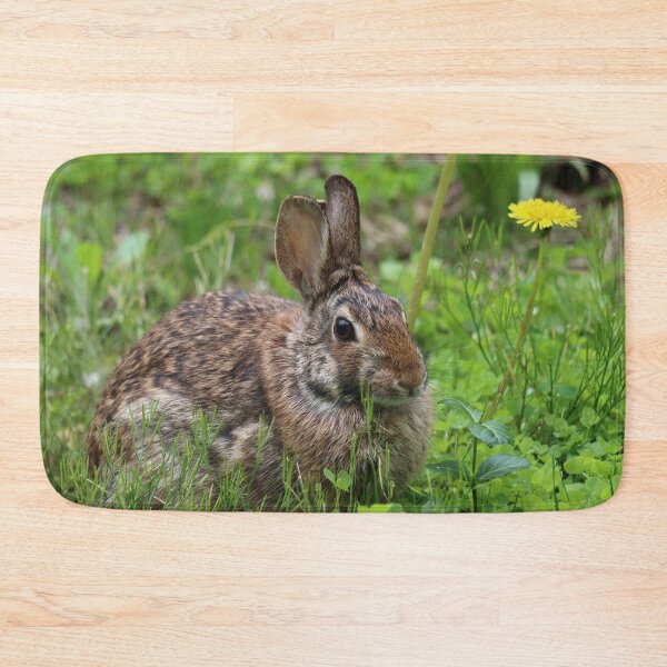 Item preview, Springtime Cottontail designed and sold by LisaNaturePhoto.