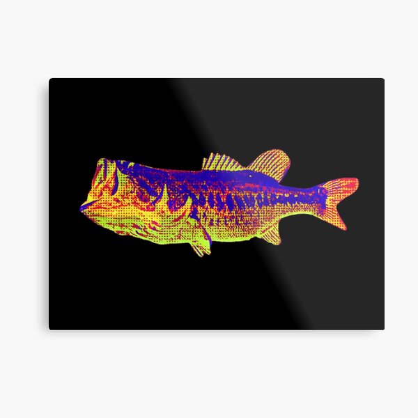 Largemouth Bass Jumping Metal Print for Sale by Mary Tracy