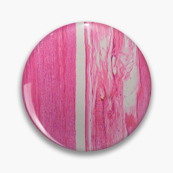 Item preview, A longitudinal section of human nerve cells under the microscope. designed and sold by Zosimus.