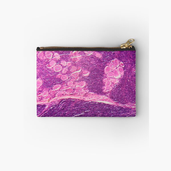 Item preview, Longitudinal section of human spinal ganglion cells under the microscope designed and sold by Zosimus.