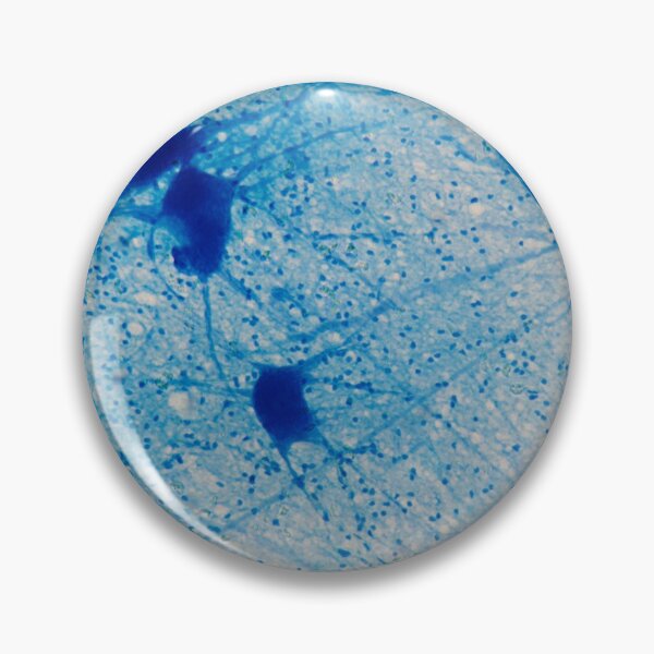 Item preview, Motor Neuron cells under the microscope designed and sold by Zosimus.