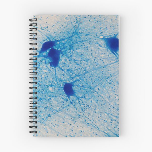 Item preview, Motor Neuron cells under the microscope designed and sold by Zosimus.
