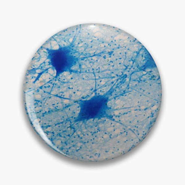 Item preview, Motor Neurons under the microscope designed and sold by Zosimus.