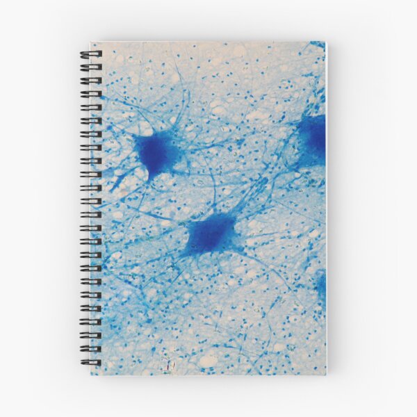 Item preview, Motor Neurons under the microscope designed and sold by Zosimus.