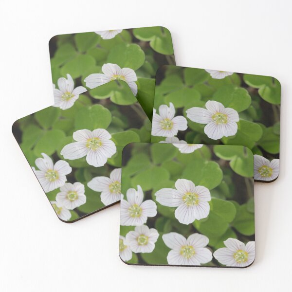 Item preview, Flowers of common wood sorrel, Oxalis acetosella designed and sold by Zosimus.