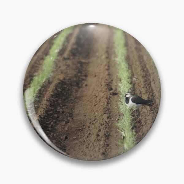 Item preview, Northern lapwing, Vanellus vanellus, in a field designed and sold by Zosimus.