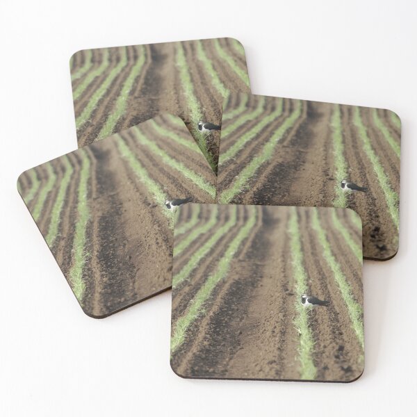 Item preview, Northern lapwing, Vanellus vanellus, in a field designed and sold by Zosimus.