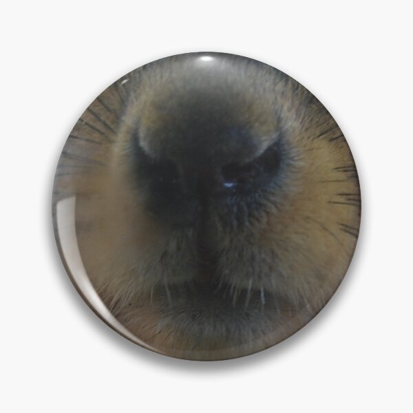 Item preview, FOX SQUIRREL SCHNOZZ C2021 Steve Yellowbear Fine Art designed and sold by SteveYellowbear.