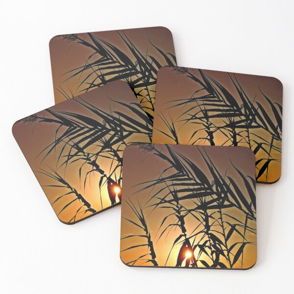 Item preview, Fantastic sunset behind bamboo fronds - photo design designed and sold by kikidu21.