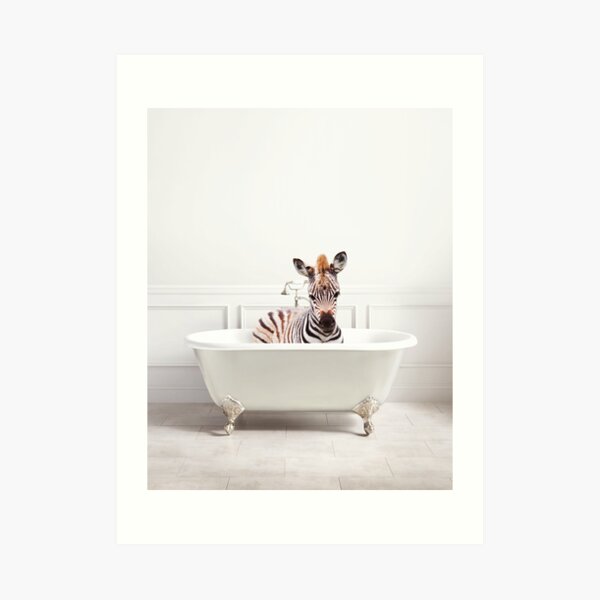 Zebra in a Bathtub, Zebra Taking a Bath, Zebra Bathing, Whimsy Animal Art Print By Synplus Art Print