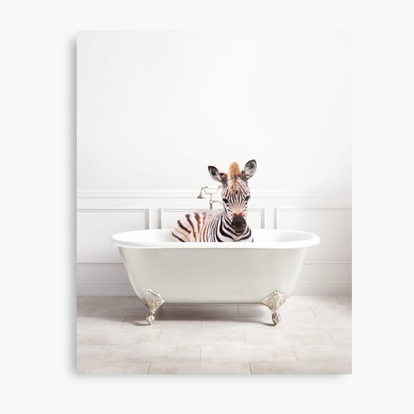 Sea Lion Taking a Bath Animal Bathroom Art Print