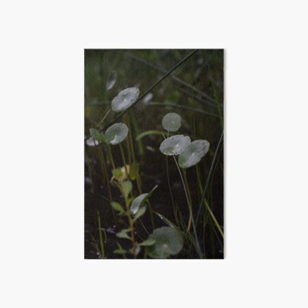 Forest Sun Babies Art Board Print