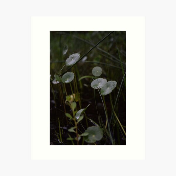Forest Sun Babies Art Print