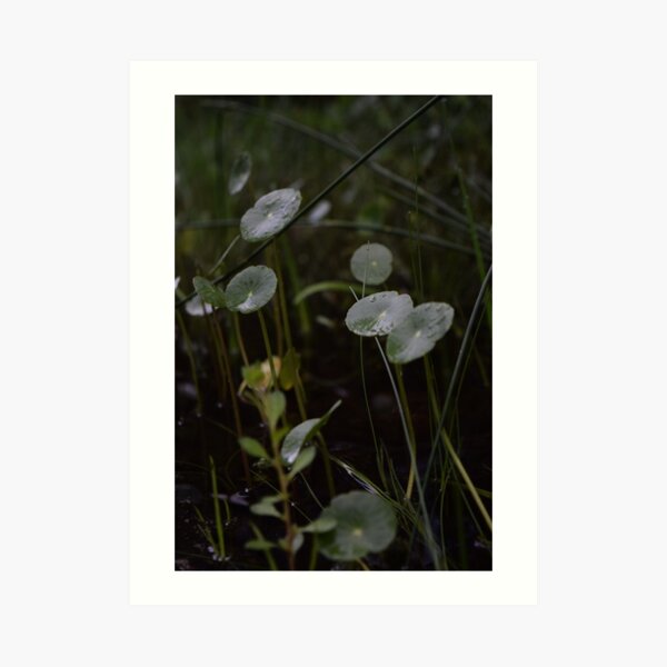 Forest Sun Babies Art Print
