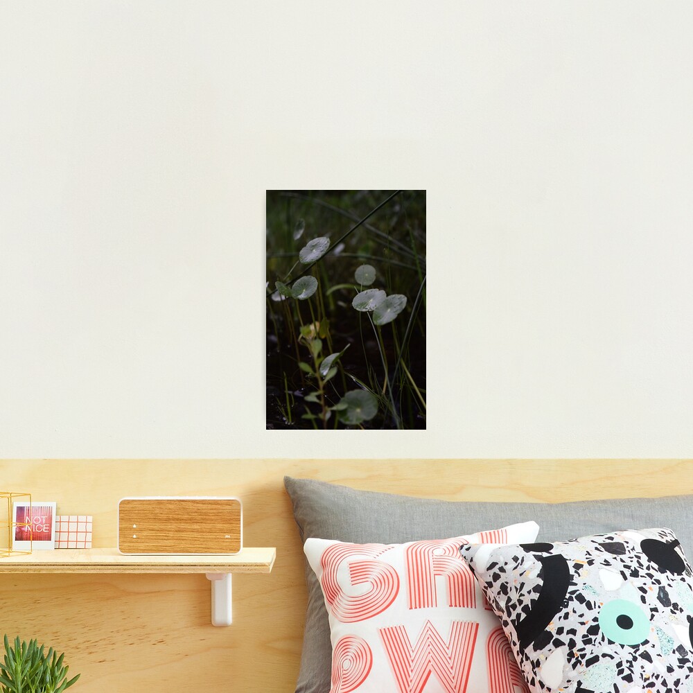 Forest Sun Babies Photographic Print