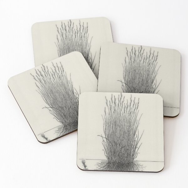 Item preview, Carex elata - Botanical Drawing of the Plant and its Roots designed and sold by Groenendijk.