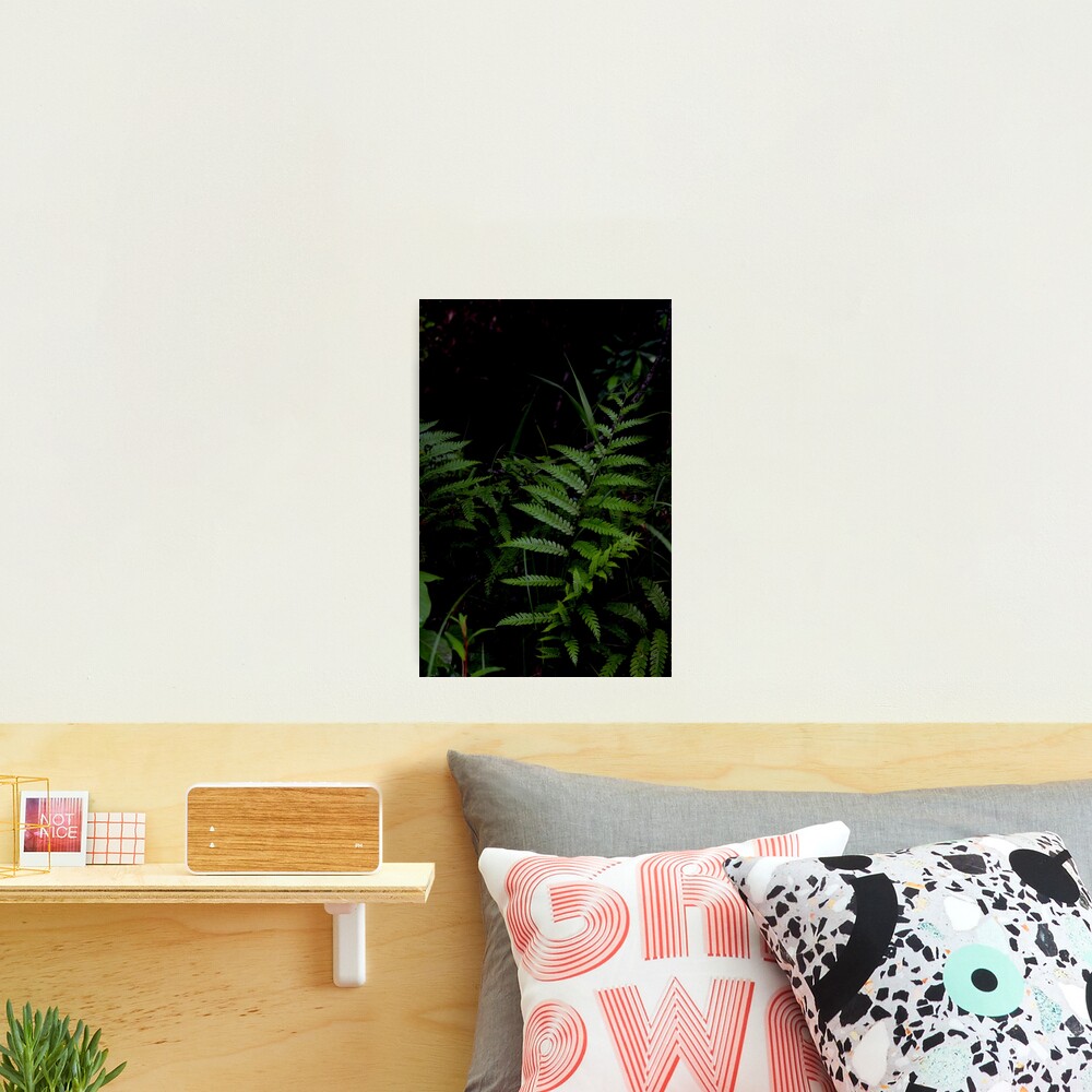Magic Wand of the Forest Photographic Print