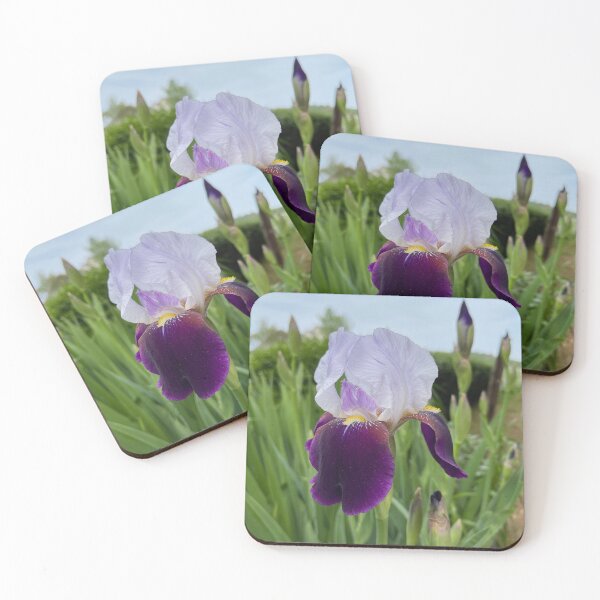 Item preview, Purple Wabash Bearded Iris Flower Bloom Photo designed and sold by Gsallicat.