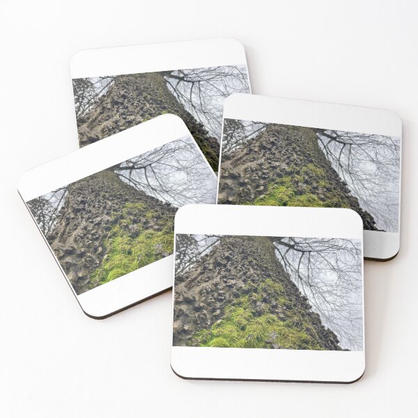 Item preview, Hackberry Tree Cover With Moss designed and sold by Max Kindly.