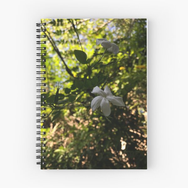 Artikelvorschau, Jasmin Blume. entworfen und verkauft von Weten.