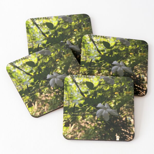 Item preview, Jasmin flower. designed and sold by Weten.