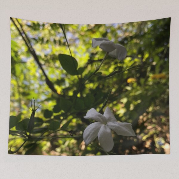 Item preview, Jasmin flower. designed and sold by Weten.