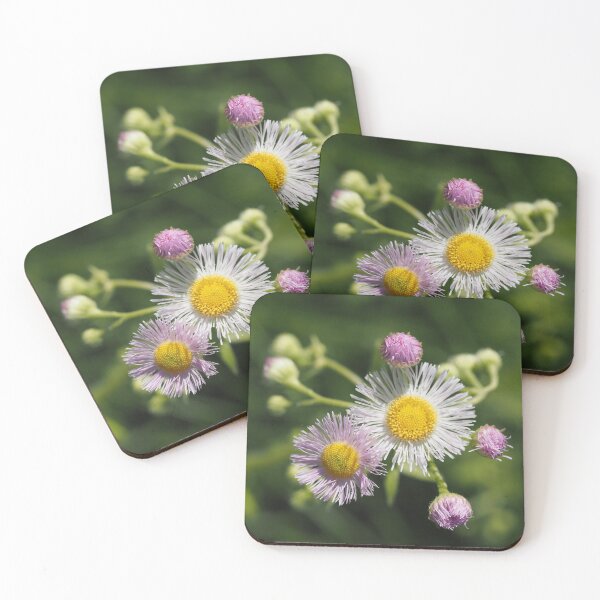 Item preview, Tall for a Daisy 1 designed and sold by litwphoto.